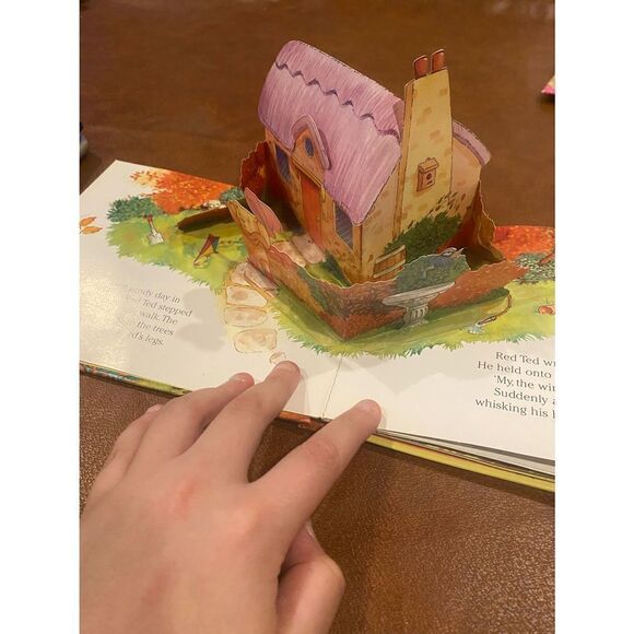 Catch That Hat!: The Magical World of Teddies Childrens Pop up Book NWOT - Picture 8 of 8